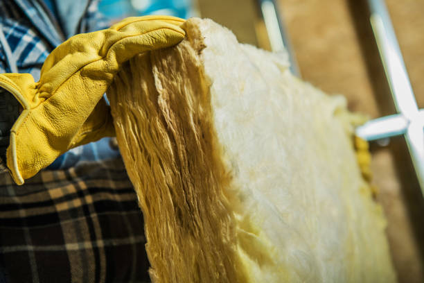 Best Insulation Maintenance and Repair in Orida Ridge, FL